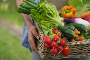 Dacă importurile se opresc, Bulgaria va rămâne fără fructe și legume în doar 14 zile