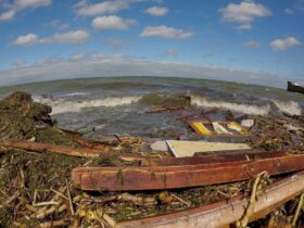 VIDEO S-a „îndulcit” apa Mării Negre de la distrugerea barajului de la Kahovka? Ce e fake news și ce e adevărat despre poluarea produsă de războiul din Ucraina- interviu cu directorul GeoEcoMar