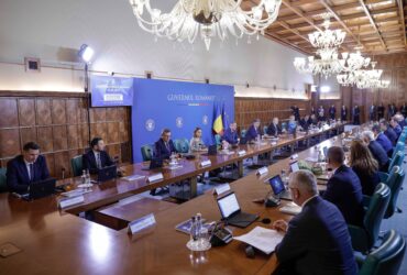 Simulări ale ședințelor de guvern, pentru tinerii din programul de internship al Guvernului