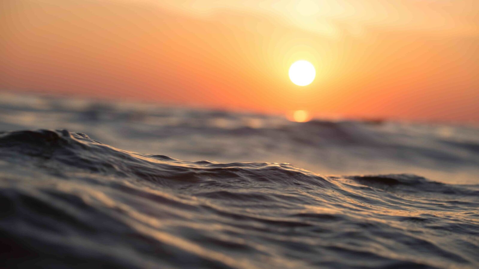 Droguri, vândute inclusiv în cluburile din stațiunea Mamaia. Două persoane reținute