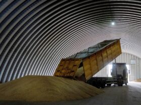Sfârșitul coridorului cerealelor: Asigurătorii se retrag din zonă / Nu mai există armatori pregătiți să meargă acolo