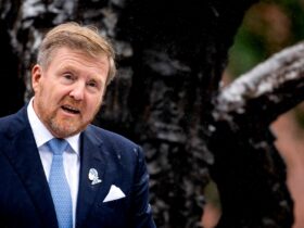 VIDEO Regele Willem-Alexander al Olandei a prezentat scuze pentru rolul ţării sale în comerţul cu sclavi VIDEO Regele Willem-Alexander al Olandei a prezentat scuze pentru rolul ţării sale în comerţul cu sclavi