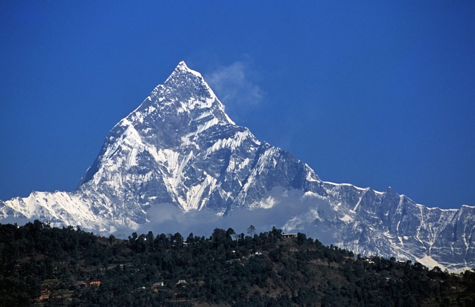 Science report: Un al doilea Everest a dispărut acum mai puțin de un mileniu. Găinile, cea mai elecventă dovadă a influenței omului asupra biosferei. Ce se petrece în creierul unei persoane singuratice?