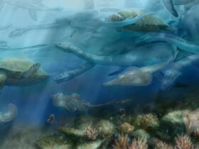 Science Report: Terra se „reînnoiește” la fiecare 36 de milioane de ani. Urme ale unor ritualuri de necromanție antică, descoperite la Ierusalim. Peste 61.000 de europeni au murit anul trecut din cauza valurilor de căldură