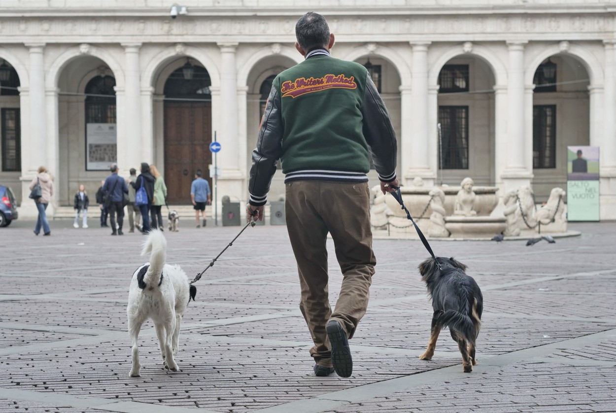 Mai mulţi parlamentari au depus un proiect ce prevede ca stăpânii care au câinii de rasă comună să nu mai fie obligaţi să îi sterilizeze Mai mulţi parlamentari au depus un proiect ce prevede ca stăpânii care au câinii de rasă comună să nu mai fie obligaţi să îi sterilizeze