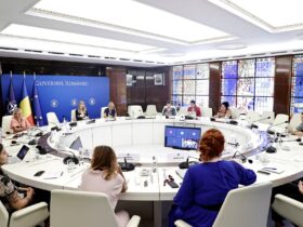 Întâlnire consultativă la Guvern cu ONG-uri pe tema situației drepturilor femeilor în România