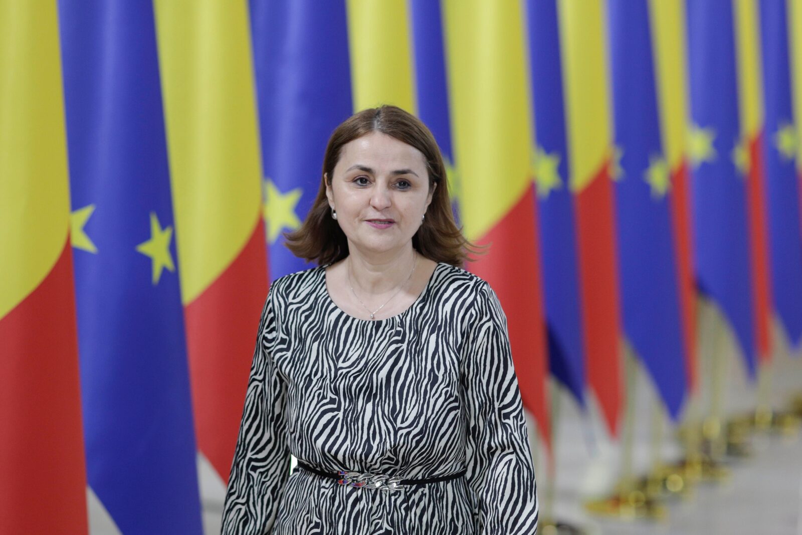 Odobescu: România susţine utilizarea activelor ruseşti îngheţate în UE, în vederea reconstrucţiei Ucrainei VIDEO