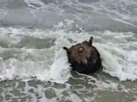 Explozie în mare, în zona unui hotel din Costinești / Cel mai probabil, este vorba despre o mină marină