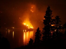 VIDEO „Este apocaliptic”: Locuitorii din Maui au ajuns să se arunce în ocean pentru a scăpa de flăcările incendiilor de vegetație