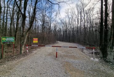 Acessul în Greenfield: Ministerul Mediului nu e de acord cu administrarea temporară de către Primăria Capitalei a drumului forestier din Băneasa, anunță Nicuşor Dan
