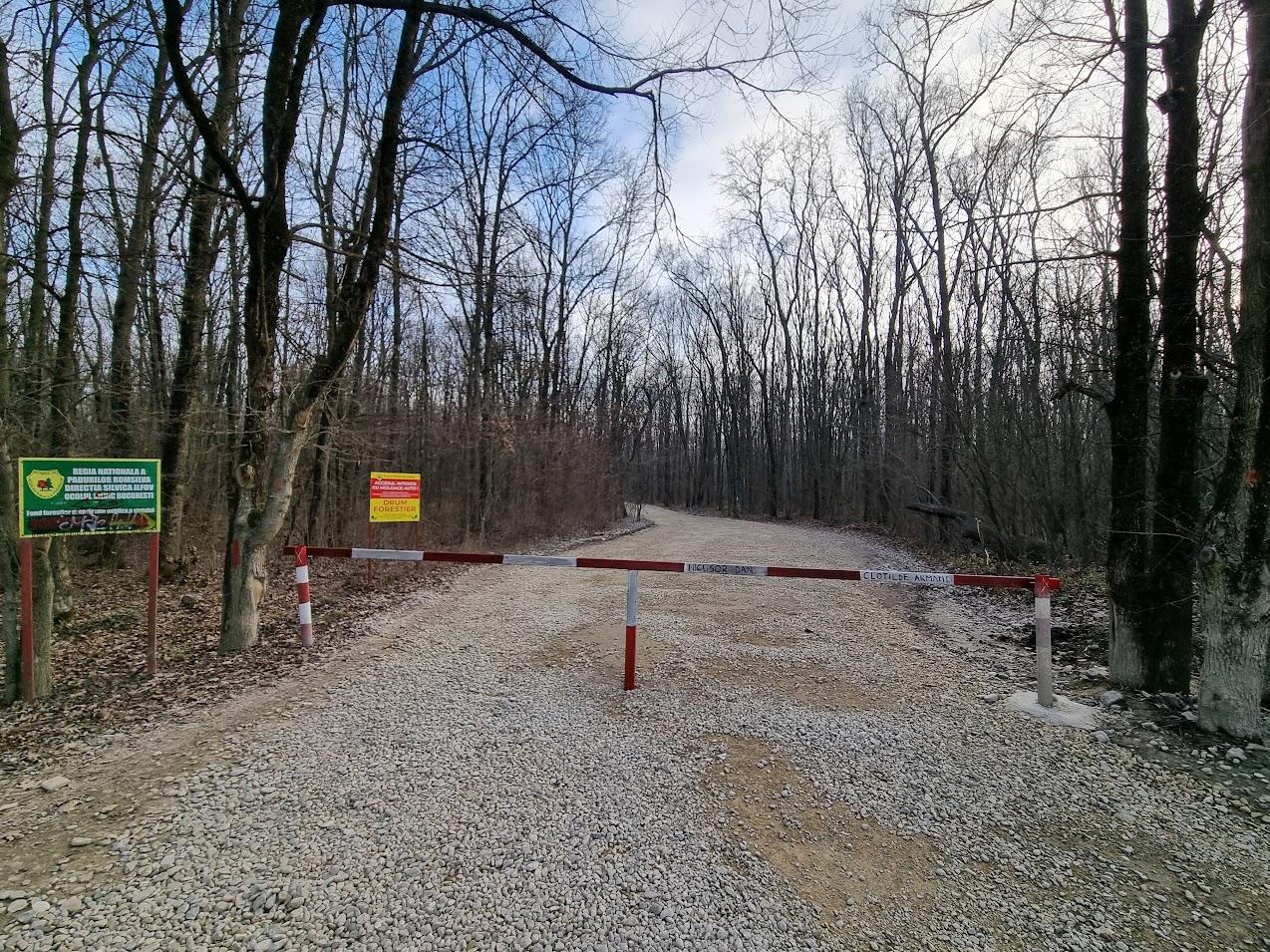 Acessul în Greenfield: Ministerul Mediului nu e de acord cu administrarea temporară de către Primăria Capitalei a drumului forestier din Băneasa, anunță Nicuşor Dan