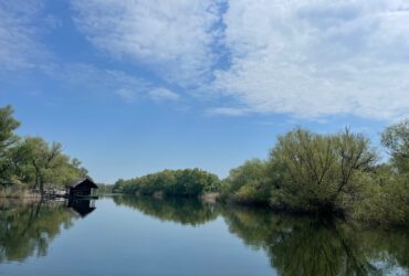 Două bărci s-au ciocnit în Delta Dunării / Un bărbat dat dispărut este căutat de un elicopter SMURD