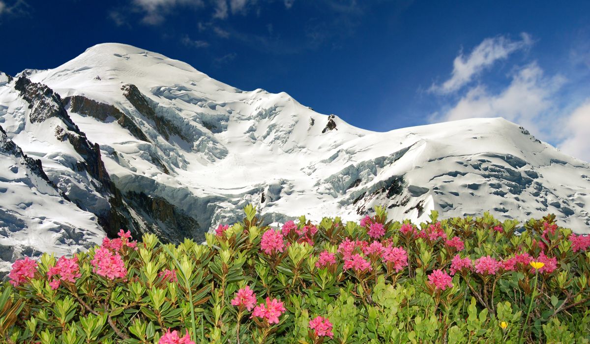 Mont Blanc a pierdut peste doi metri din înălțimea sa din 2021 încoace Mont Blanc a pierdut peste doi metri din înălțimea sa din 2021 încoace