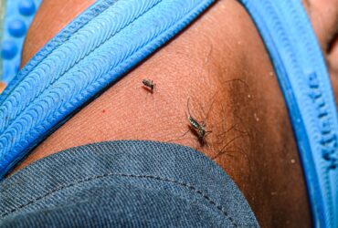 OMS recomandă un al doilea vaccin pentru prevenirea malariei, disponibil din 2024 în unele ţări africane