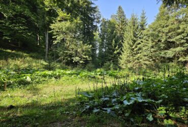 Luna trecută a fost a doua cea mai caldă lună septembrie în România. Temperaturile au fost mult mai mari și decât în unele luni de vară din trecut