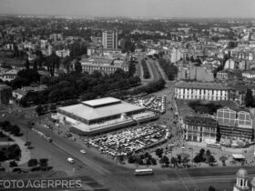 Halele Centrale, zise și „Pântecele Bucureștiului”, locul unde se vindea și se cumpăra toată ziua și unde se dregeau oamenii după beție