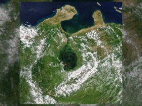 Science Report: Secretul întunecat care se ascunde în spatele ultimelor imagini cu lacul Maracaibo ● Fiecare nară are propriul simț al mirosului și fiecare generează o activitate cerebrală diferită ● Cercetătorii au inventat o știință nouă, recreând un organism care a trăit acum peste 450 de milioane de ani