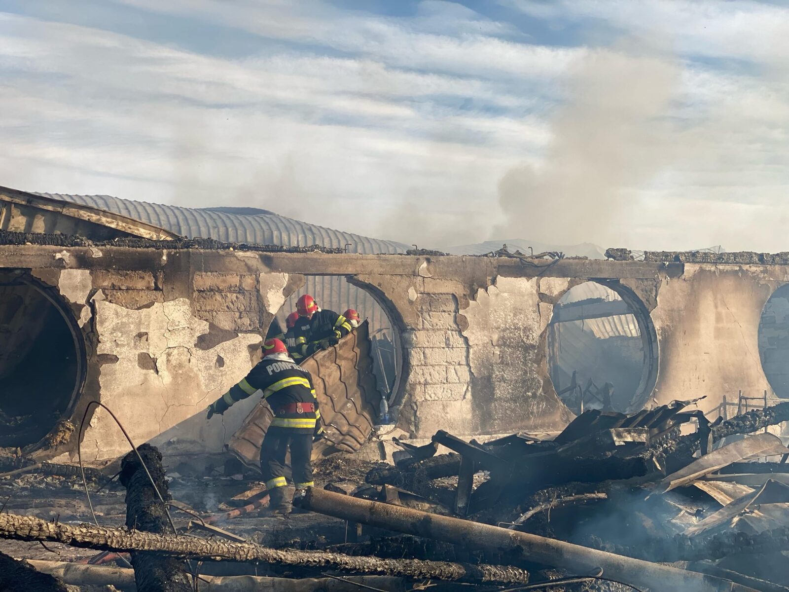 Parchet. Cercetarea la Ferma Dacilor, finalizată