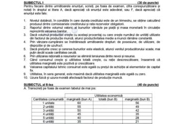 Simulare Bacalaureat 2024. Subiectele la alegere la profilul UMAN. DOCUMENT