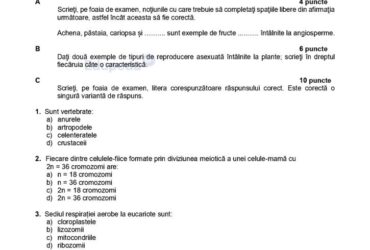 Simulare Bacalaureat 2024. Subiectele probei la alegere la profilul REAL. DOCUMENT