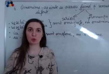 Evaluare Națională 2024. Capcane posibile la gramatică explicate de o profesoară de Limba română VIDEO