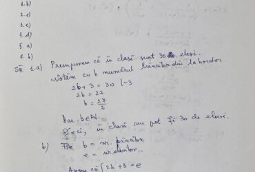 Evaluarea Națională 2024. Profesor de Matematică: „Dacă nu greșesc la grilă, elevii pot lua un șapte”. Rezolvarea subiectelor