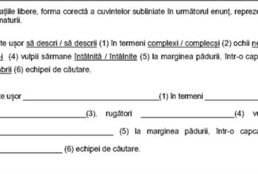 Semnalul unui profesor de Limba română, după corectarea lucrărilor de la Evaluarea Națională: „Au o problemă foarte gravă”