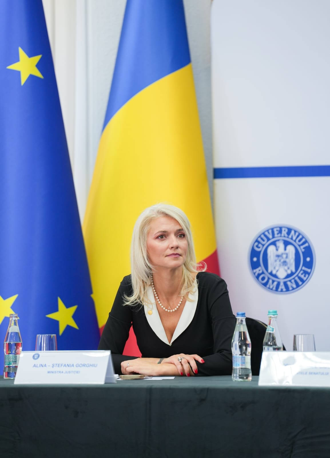 Mai avem o șansă cu Paul de România