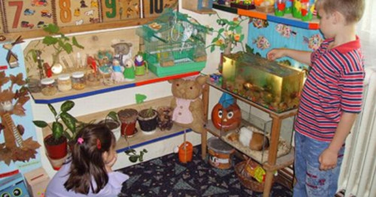 Începe plata a câte 500 lei pentru preșcolarii și elevii dezavantajați. Pe ce pot fi cheltuiți banii