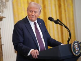 „În locul mult aşteptatului Messia al belșugului american, a apărut un neputincios grefier de falimente”. Războaiele comerciale ale SUA, de la 1890 până acum