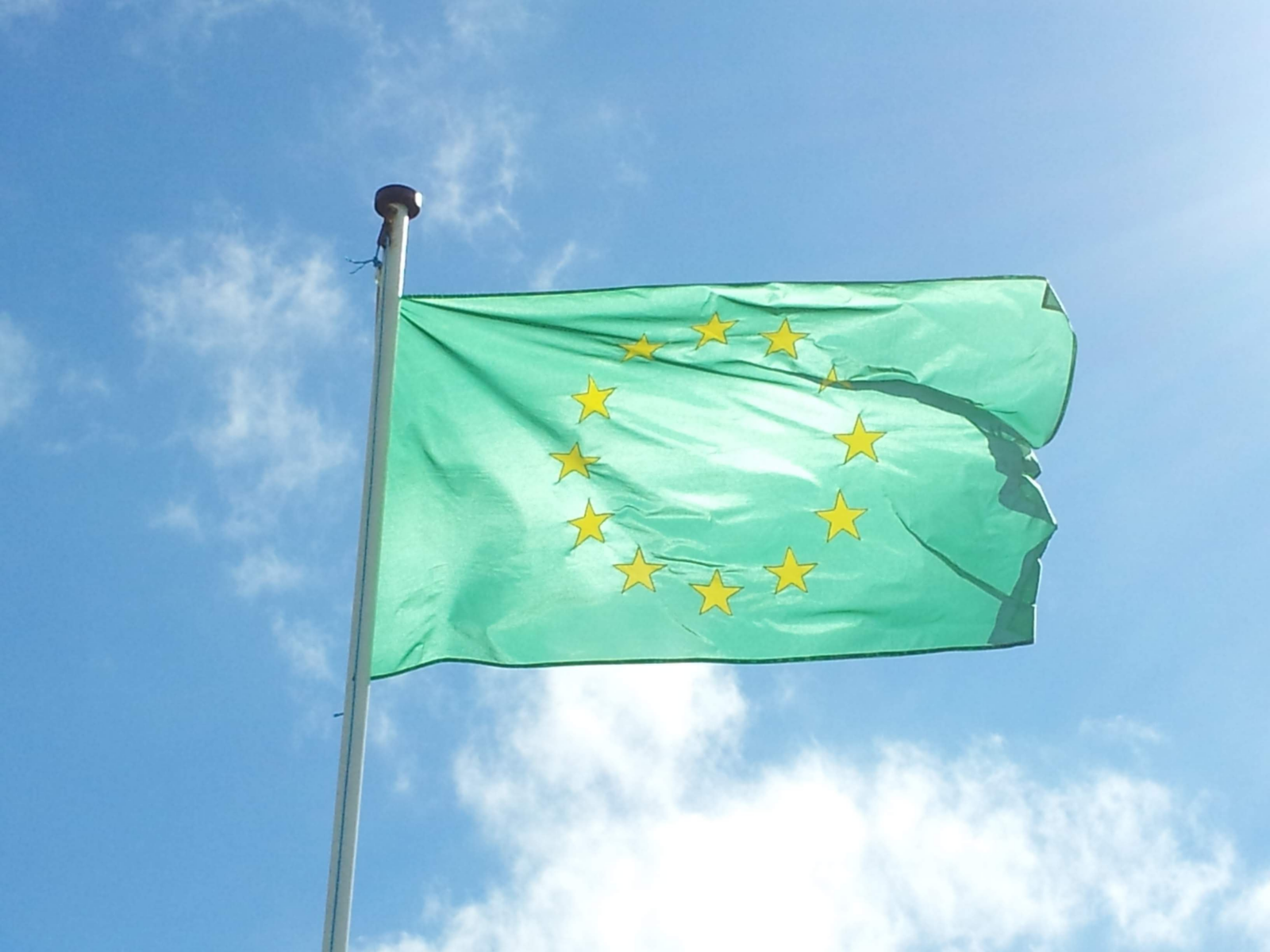 Verzii Europeni îl susţin pe Nicuşor Dan în turul doi al alegerilor prezidenţiale