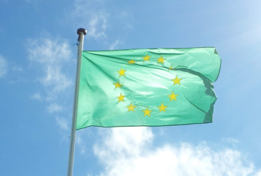 Verzii Europeni îl susţin pe Nicuşor Dan în turul doi al alegerilor prezidenţiale