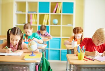 Subiectele de la Evaluarea Națională 2025: „Buburuza fără buline” și importanța prieteniei