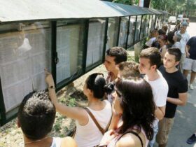 Reforma în Educație începe cu liceul. Experții recomandă mai puțin conținut și mai multă învățare profundă