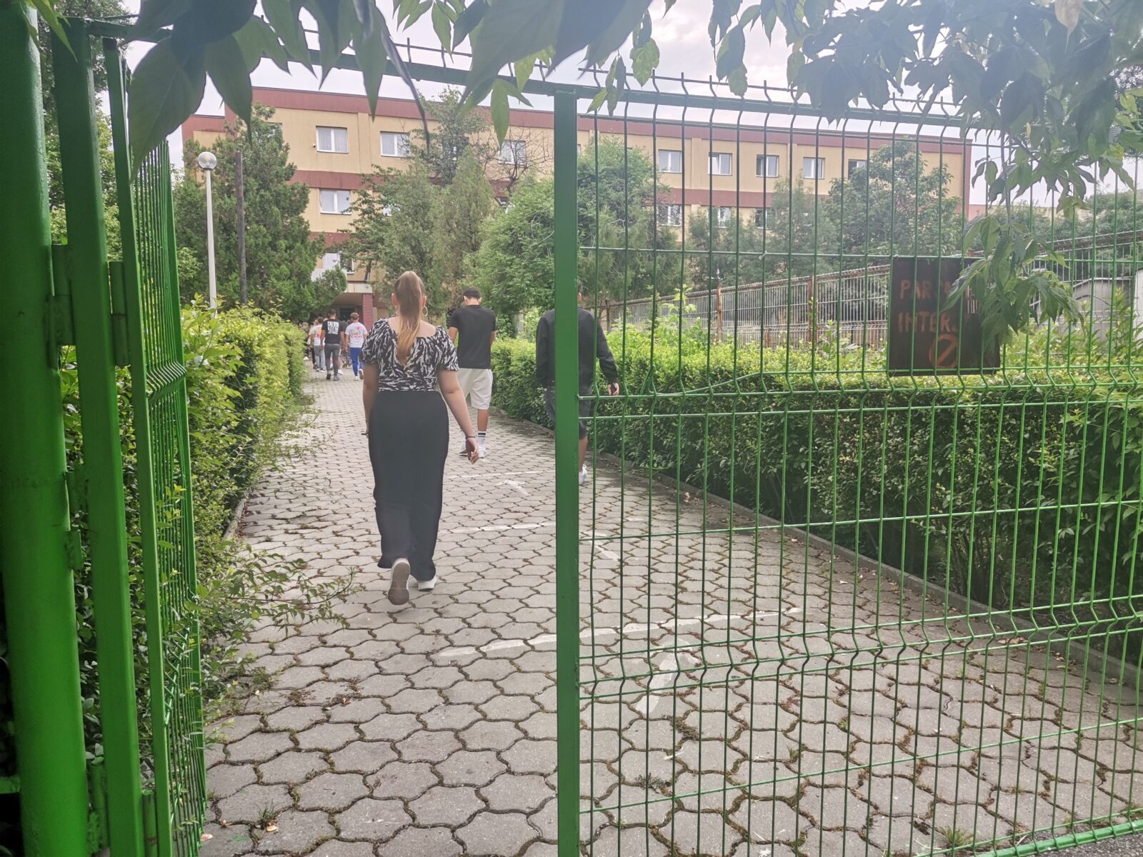 Subiecte Bac 2025. Cum li s-au părut candidaților cerințele de la proba la alegere Subiecte Bac 2025. Cum li s-au părut candidaților cerințele de la proba la alegere
