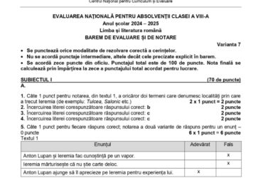 Barem Evaluare Națională 2025. Cum se rezolvau subiectele la proba scrisă la Limba Română