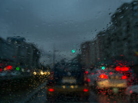 Copaci căzuți, autoturisme avariate și alte pagube. Urmările vijeliei din Capitală