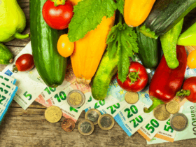 Fonduri UE 2025: Fermierii români vor putea accesa până la 2 milioane EUR pe proiect, pentru investiții în producția de legume. Ghidul oficial DR 16