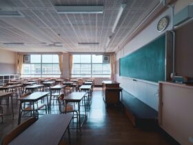 Daniel David, ministrul Educației, vrea să schimbe denumirea disciplinei „istorie”. „O să discut cu Academia Română”