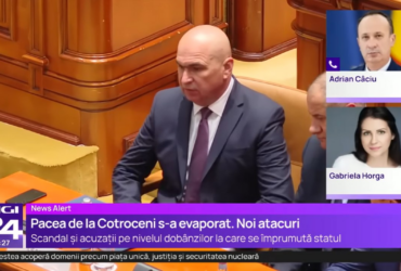 Scandal monstru între liberala Gabriela Horga și deputatul PSD Adrian Câciu: „Ea mă agresează, mă provoacă. Știe să citească?”