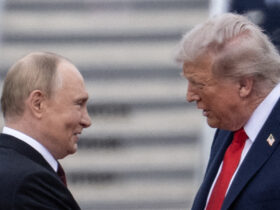 Germania vede „discuțiile de la Budapesta ca pe o a doua încercare de a-l convinge pe Putin să negocieze serios cu Ucraina”