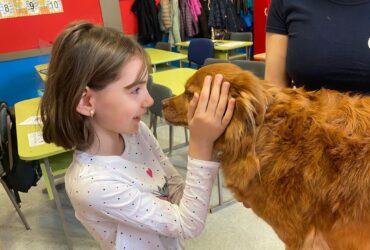 Grija pentru animale, materie opțională în școli: „Îi învață pe copii dragostea necondiționată”