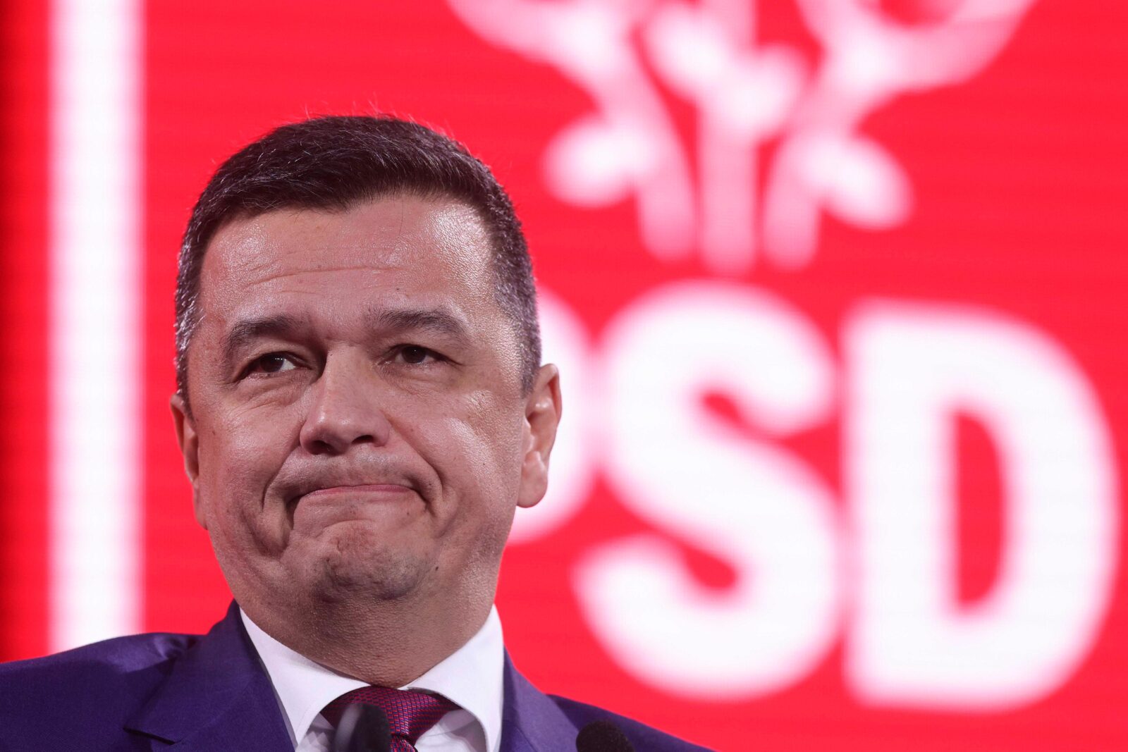 Grindeanu, de acord cu Nicușor Dan în disputa Oana Gheorghiu-CSM: „Orice om politic are dreptul la opinie” Grindeanu, de acord cu Nicușor Dan în disputa Oana Gheorghiu-CSM: „Orice om politic are dreptul la opinie”