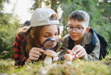 Educație prin explorare: cum transformi o plimbare banală într-o aventură pentru copii