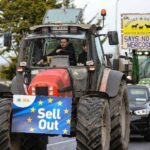 Ilie Bolojan spune că decizia privind Mercosur a fost luată de comun acord între Guvern şi Preşedinţie. „N-a fost niciun fel de dispută”