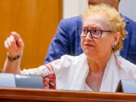 Cine va deține „arma” împotriva OUG-urilor – Parlamentul numește un nou Avocat al Poporului după aproape doi ani de amânări
