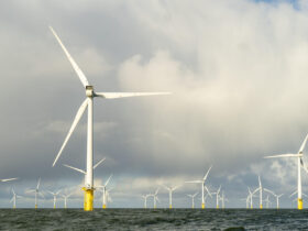 Administrația Trump va plăti unei companii franceze 1 miliard de dolari pentru a nu construi parcuri eoliene offshore în Oceanul Atlantic