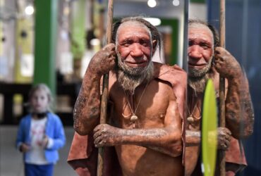 Noi studii arată că neanderthalienii au supraviețuit aproape miraculos timp de 350.000 de ani