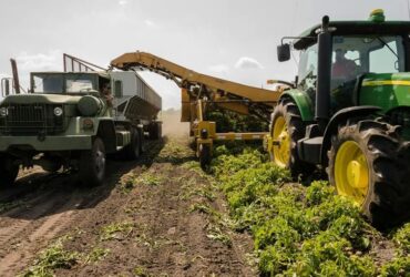 Nou mare investitor în România – Fiul magnatului ucrainean Oleksii Vadaturski aduce Nibulon pe piața locală Nou mare investitor în România – Fiul magnatului ucrainean Oleksii Vadaturski aduce Nibulon pe piața locală