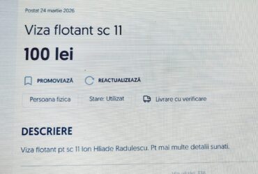Cum scăpăm de vizele de flotant? “Nu există școli atât de bune încât să merite să-ți crești copilul în trafic”